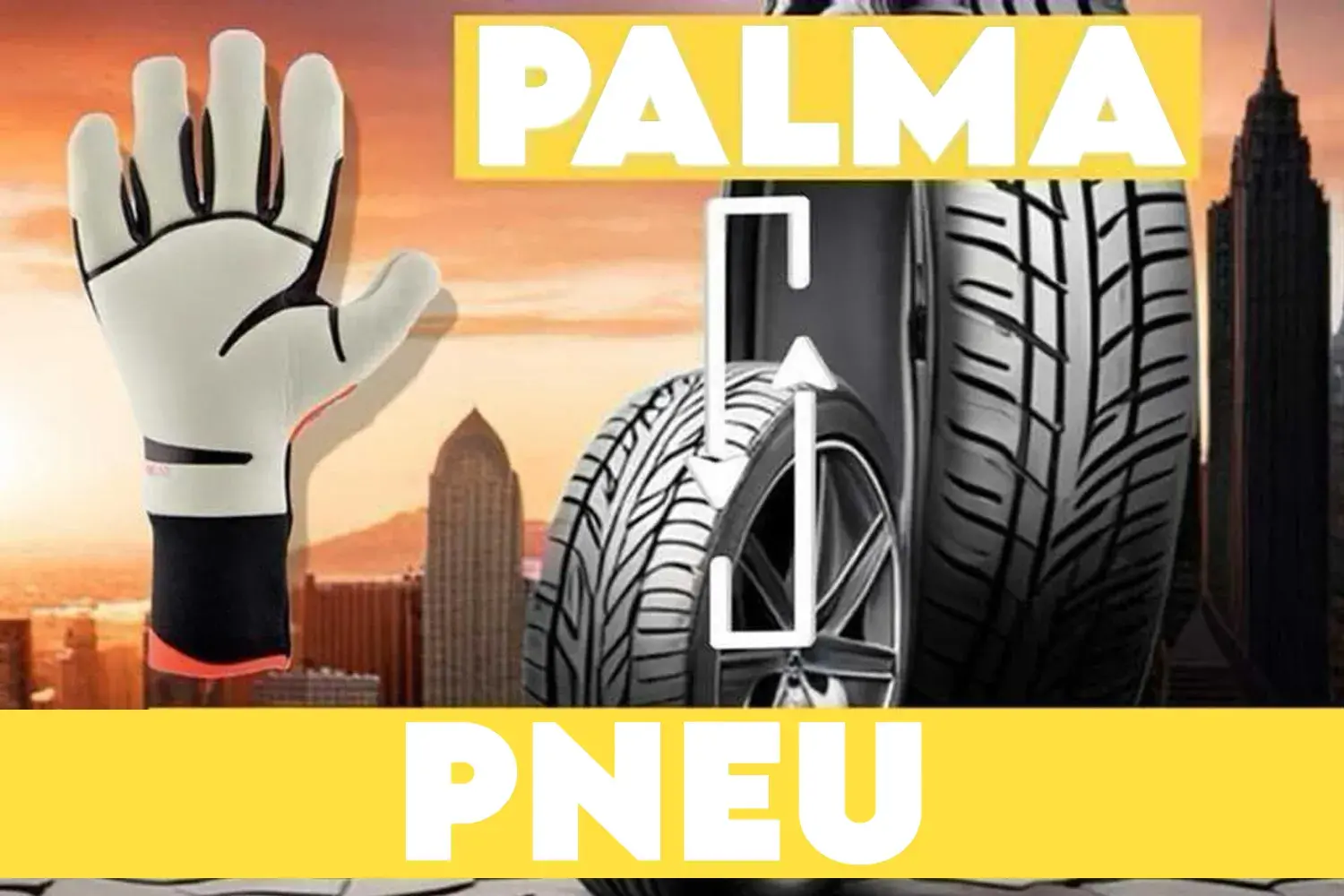 palma pneu
